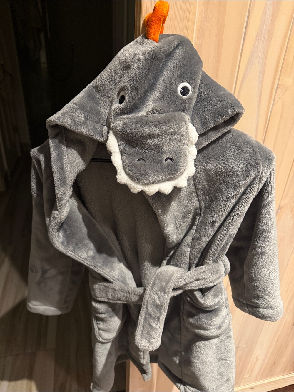 Pottery Barn Kids T Rex Hooded Plush Robe